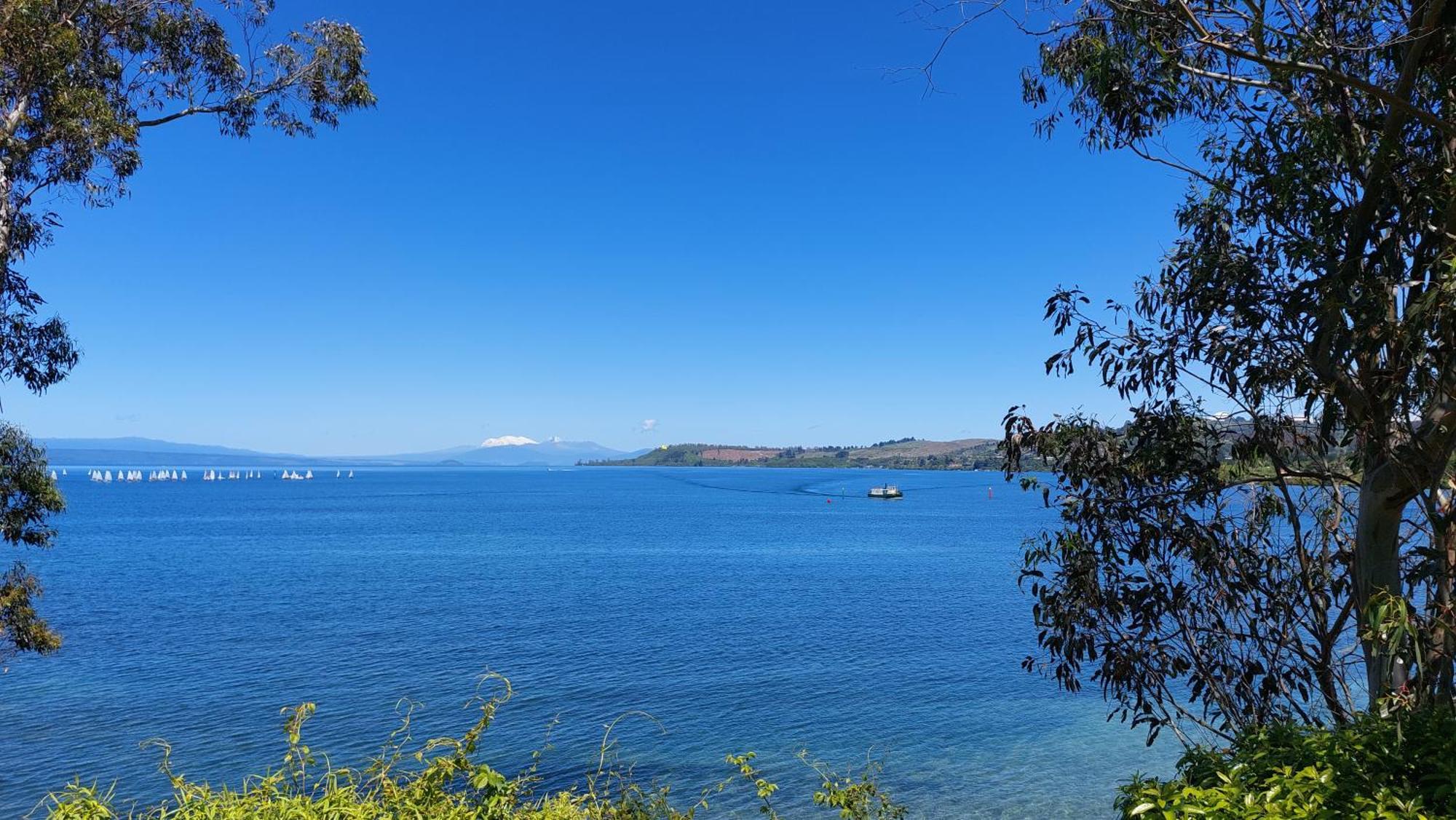 Bed And Breakfast Happy Home Taupo Accommodation Exterior foto
